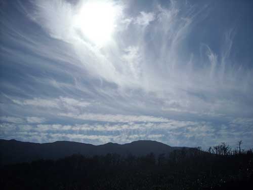 e0097770_2292648.jpg