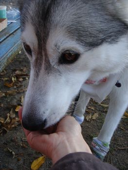 e0012580_2143137.jpg