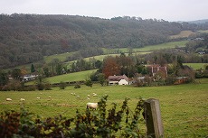 a0107981_241693.jpg