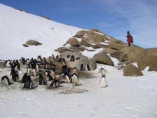 f0087787_22424459.jpg