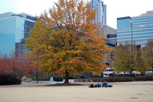 b0148991_834779.jpg