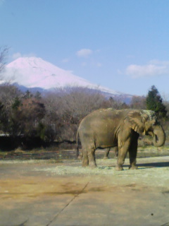 c0166293_17291259.jpg