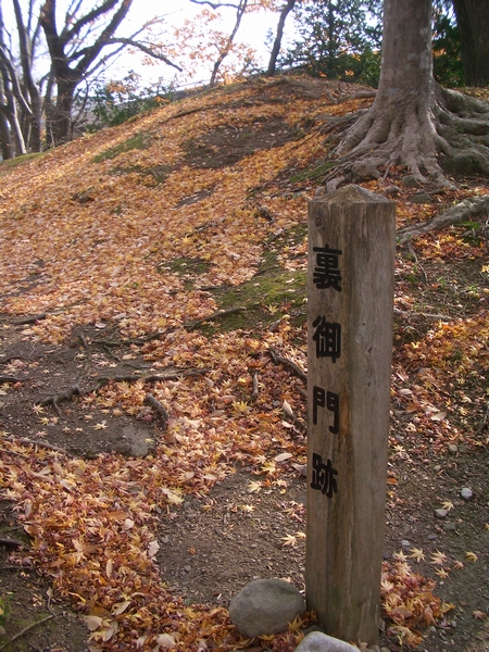 d0069498_16201190.jpg