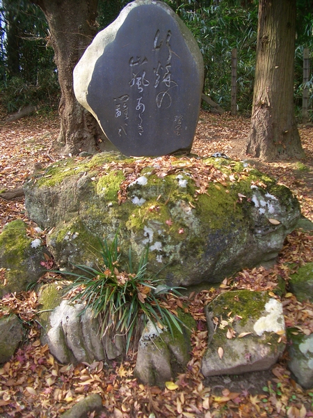 d0069498_16355948.jpg