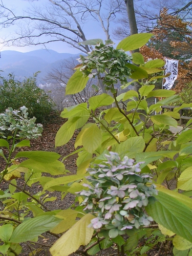 d0069498_16373333.jpg