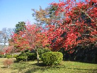 e0122199_1272251.jpg