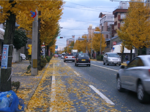 c0036203_17442842.jpg