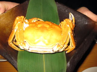 b0006210_8572616.jpg