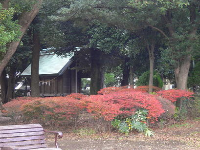 c0101913_22425132.jpg