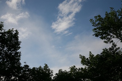 a0108115_71885.jpg