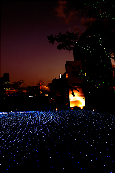 f0014815_21423371.jpg