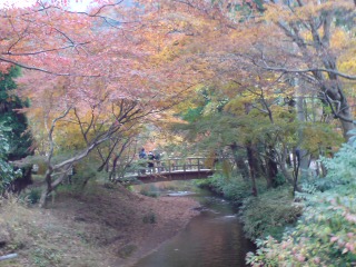 b0145616_15472748.jpg