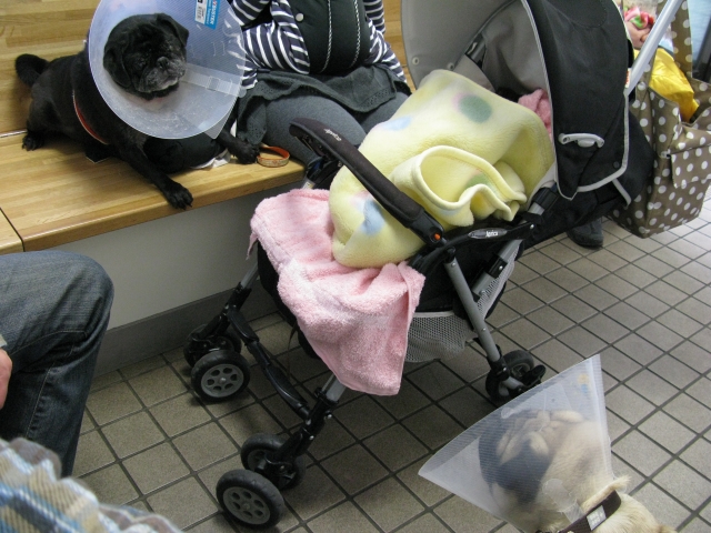 f0128821_17504712.jpg