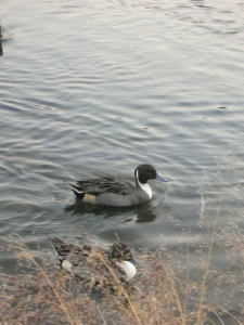 e0009324_22105918.jpg
