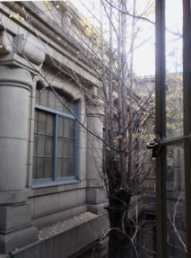 a0090126_23174070.jpg