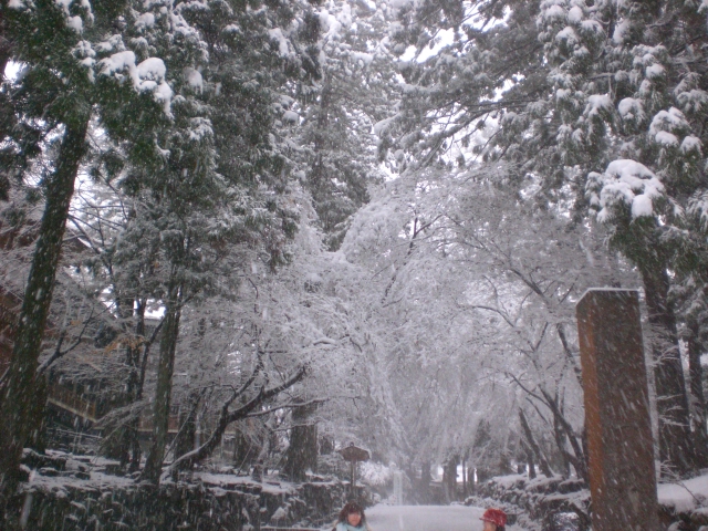 b0116327_22237100.jpg