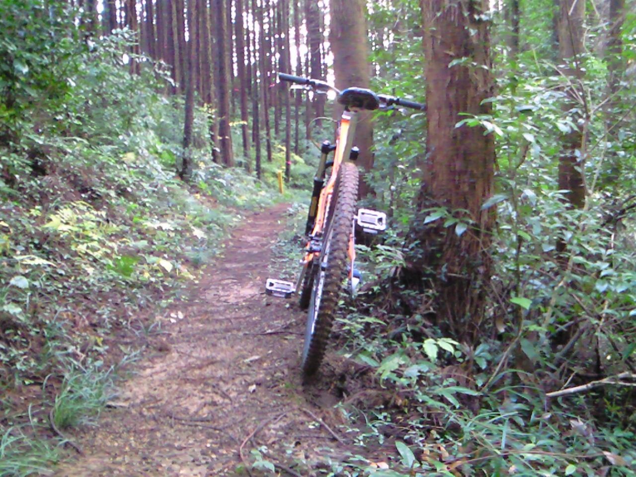 e0002927_1557619.jpg