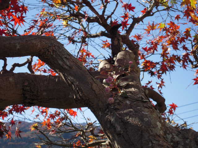 b0025633_14353845.jpg