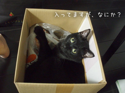 c0132438_22242548.jpg