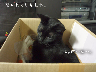 c0132438_22273660.jpg