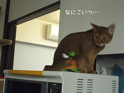 c0132438_22372157.jpg