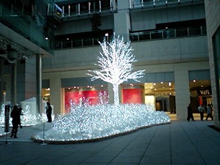e0067640_1702368.jpg