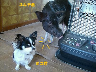 f0186040_21431766.jpg
