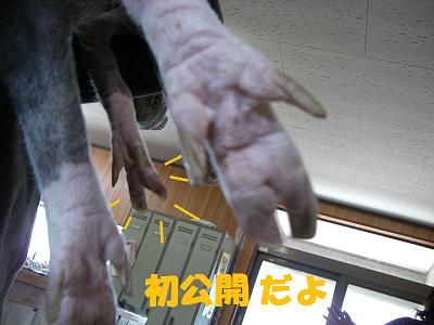 f0186040_21484244.jpg