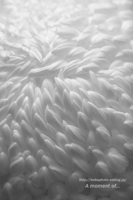 d0143741_23401764.jpg