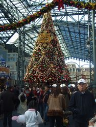 d0073342_02156.jpg
