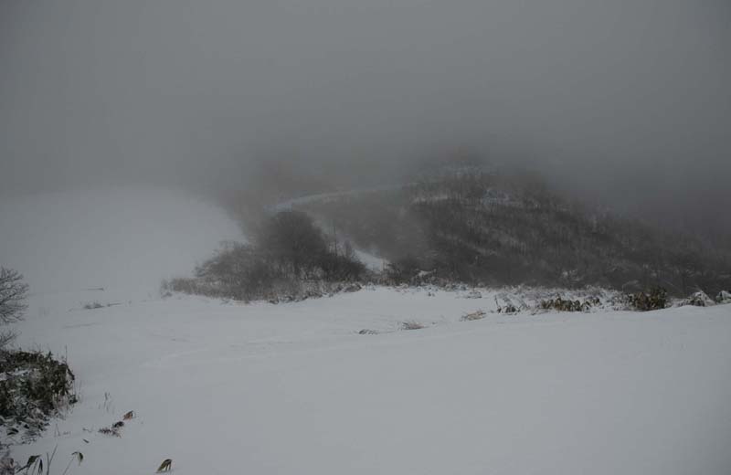 c0077847_1934264.jpg
