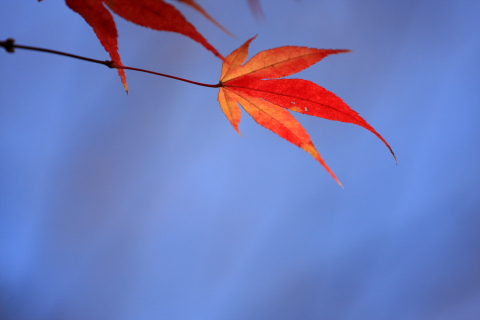 a0024250_2115467.jpg
