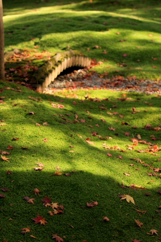 a0024250_21594641.jpg