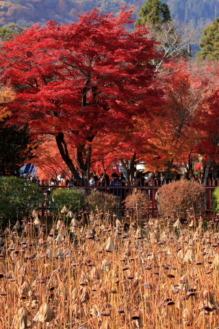 a0024250_2261024.jpg