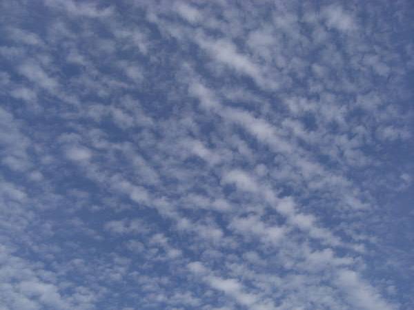 e0017051_2363588.jpg
