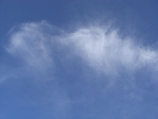 e0017051_237078.jpg