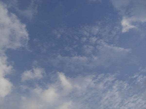e0017051_2371973.jpg