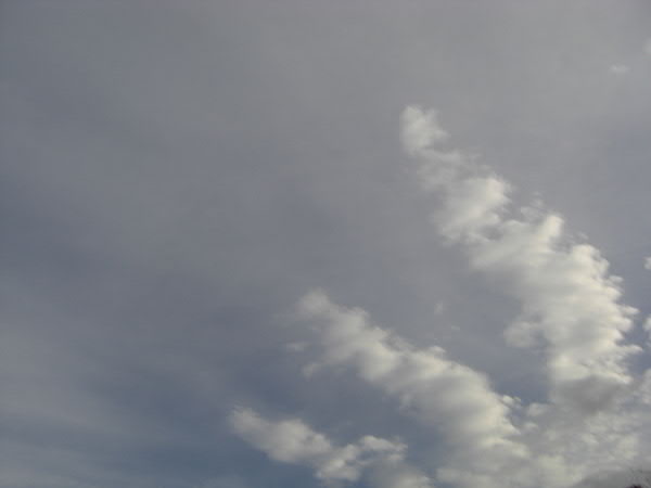 e0017051_2373969.jpg