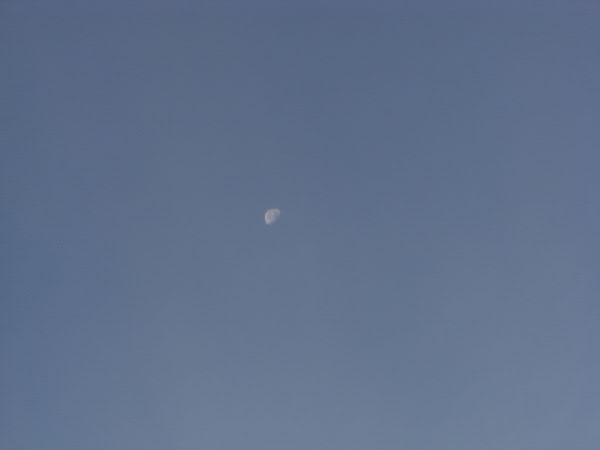 e0017051_238223.jpg