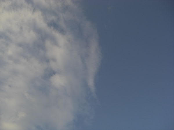 e0017051_239886.jpg