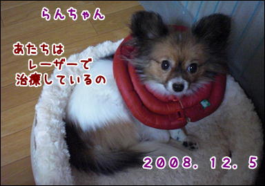 d0139352_217295.jpg