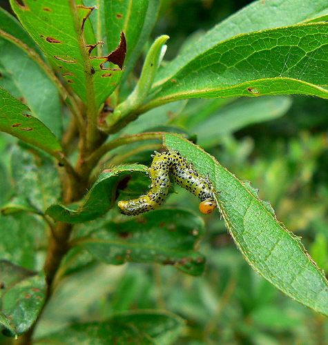 d0091754_017249.jpg