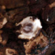 d0029958_16301053.jpg