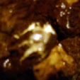 d0029958_16302229.jpg