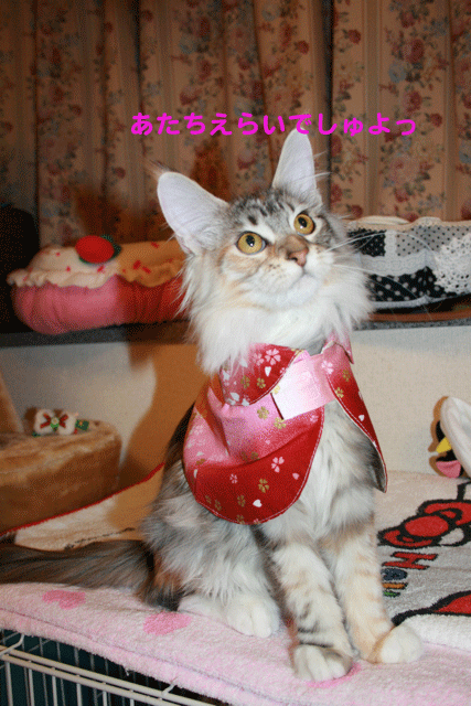 e0158561_21174776.gif