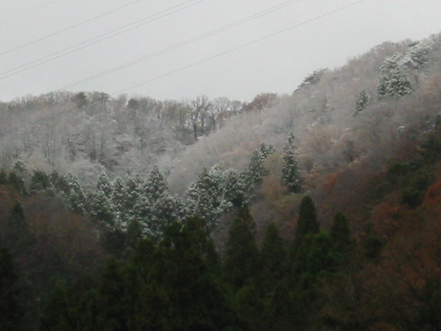 d0094868_10404784.jpg