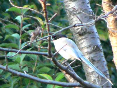 f0086169_23245629.jpg