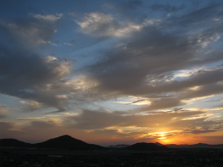 c0104371_1081026.jpg
