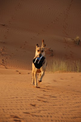 e0066474_413129.jpg