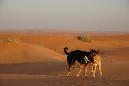 e0066474_4155315.jpg